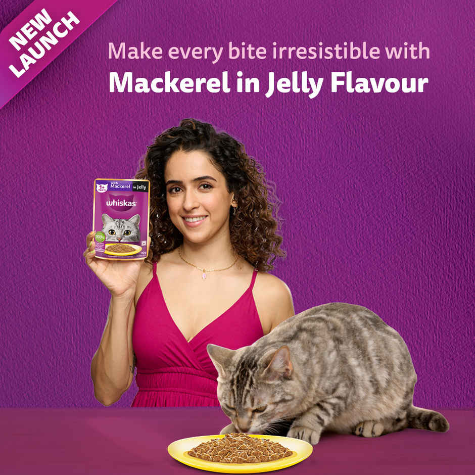 Whiskas Adult Wet Cat Food Mackerel in Jelly