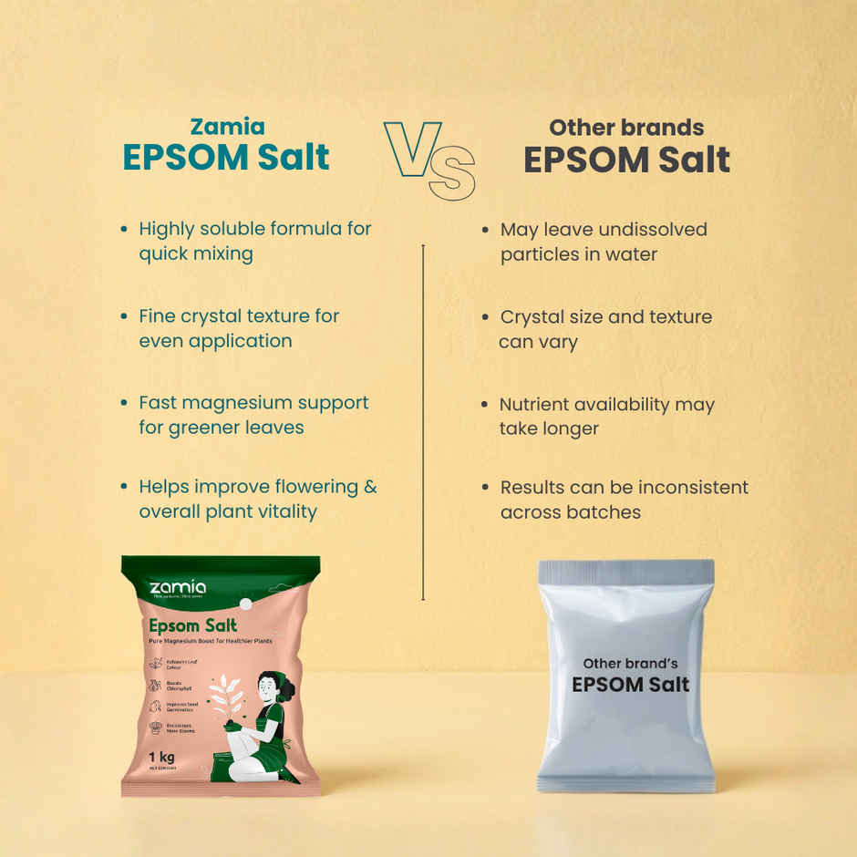 Zamia Epsom Salt | Magnesium Sulphate for Leaf Greening & Root Growth | By Nurturing Green