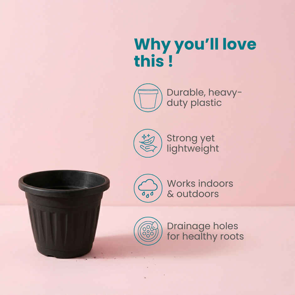 Zamia Plastic Garden Pot | 8 inch | Black | Pack of 1 | By Nurturing Green