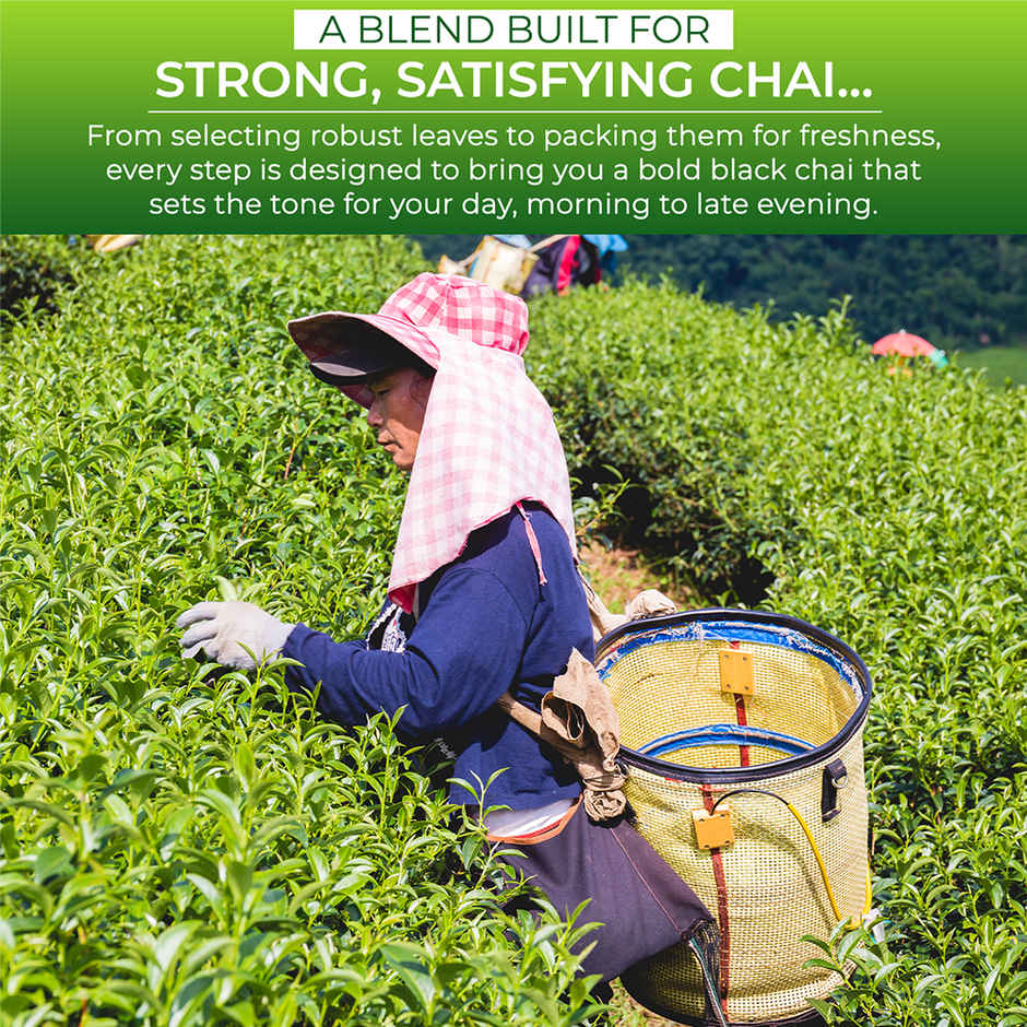 Marvel Elaichi Chai | Cardamom & Assam Tea Leaves Chai Patti