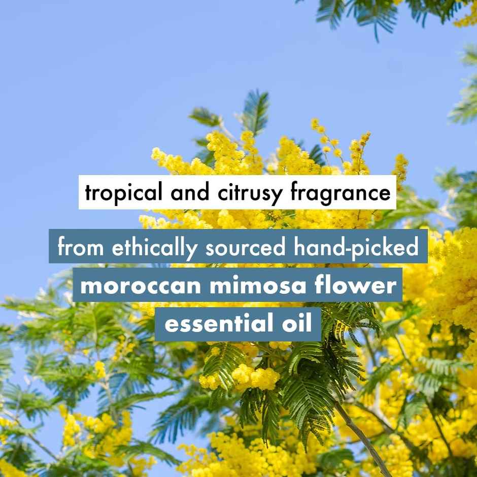 Love Beauty & Planet Coconut Water And Mimosa Flower Sulfate Free Volume And Bounty Shampoo