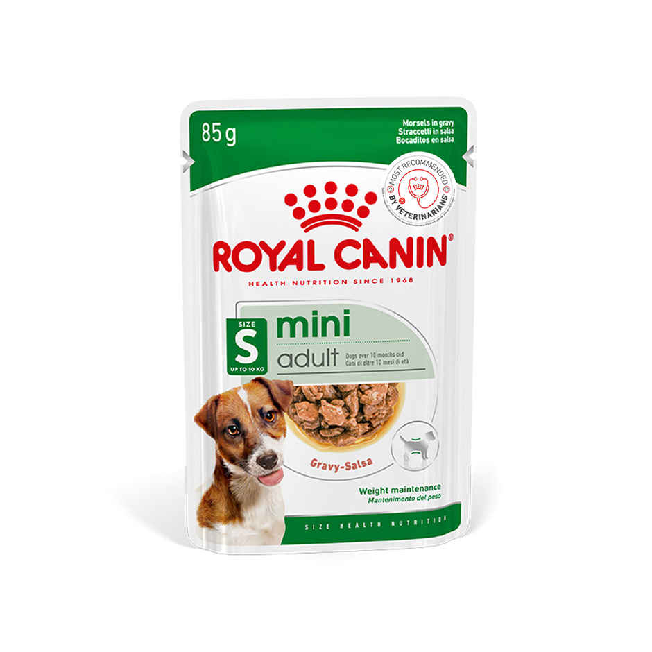 Royal Canin Mini Adult Dog Wet Food Combo