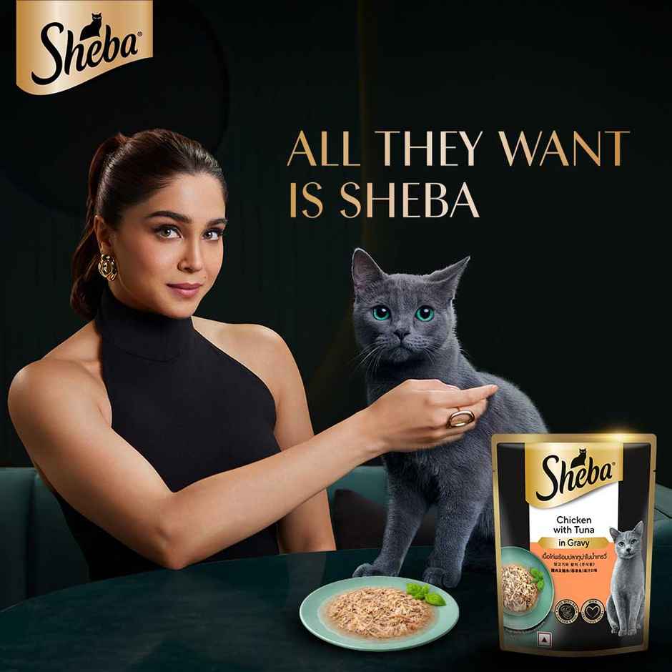Sheba Fine Adult Chicken with Tuna in Gravy Wet Cat Food Combo 