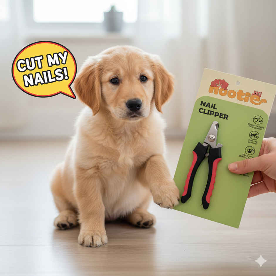 Nootie Pet Nail Clipper with Nail Filer | Safe Grooming Tool