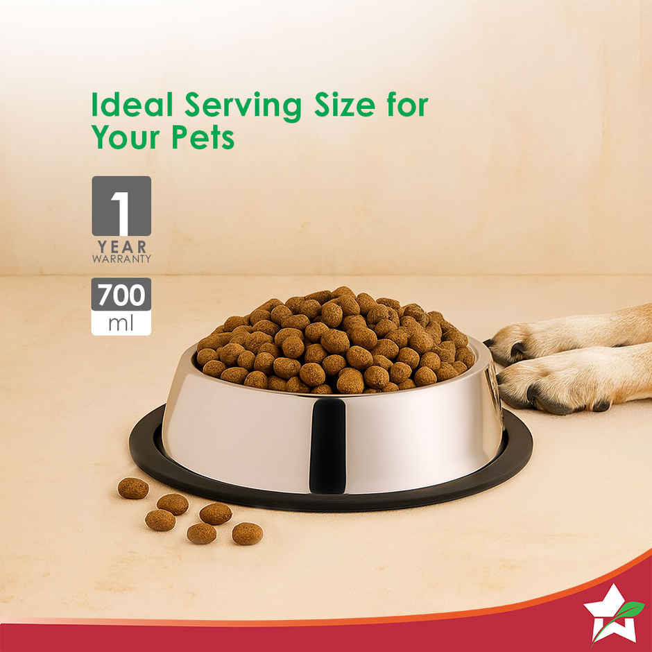 Wonderchef Ambrosia Pet Bowl 700ml | Anti Skid SS