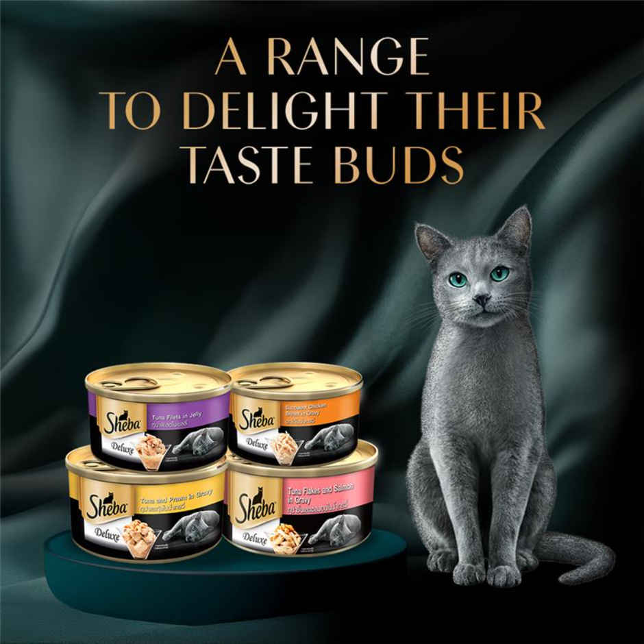 Sheba Deluxe Wet Cat Food Tuna Flakes and Salmon in Gravy | Can