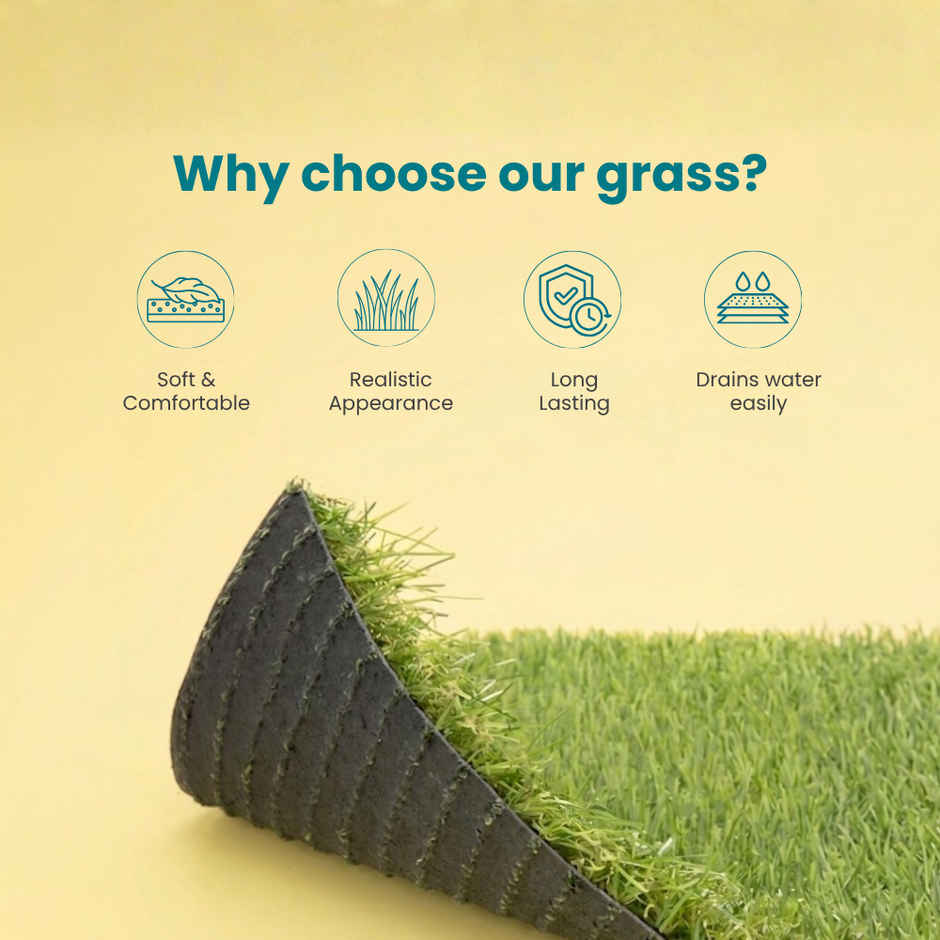 Zamia Artificial Grass | 35 mm Dual Layer Lawn & Balcony Mat | 2x4 ft | By Nurturing Green