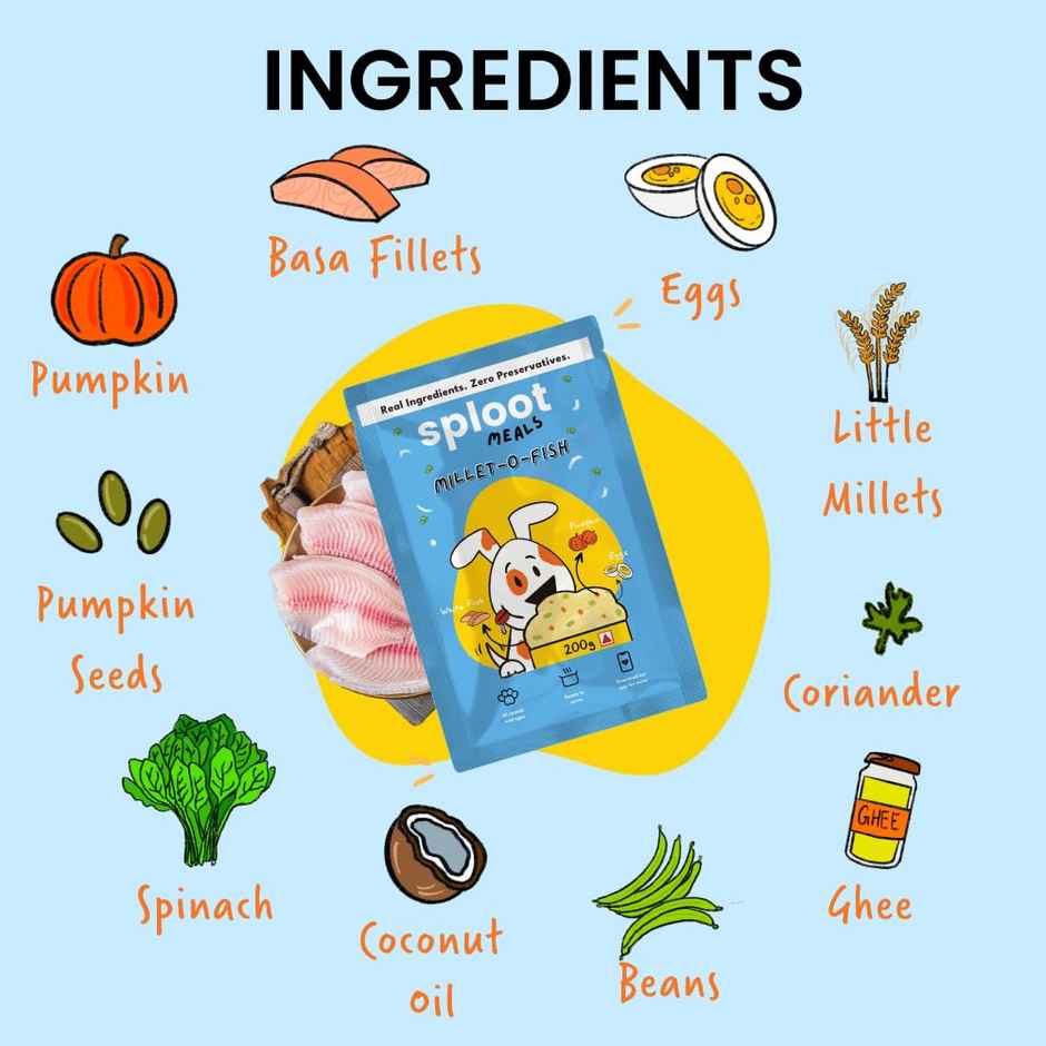 Sploot Millet O Fish Fresh Food For Dogs