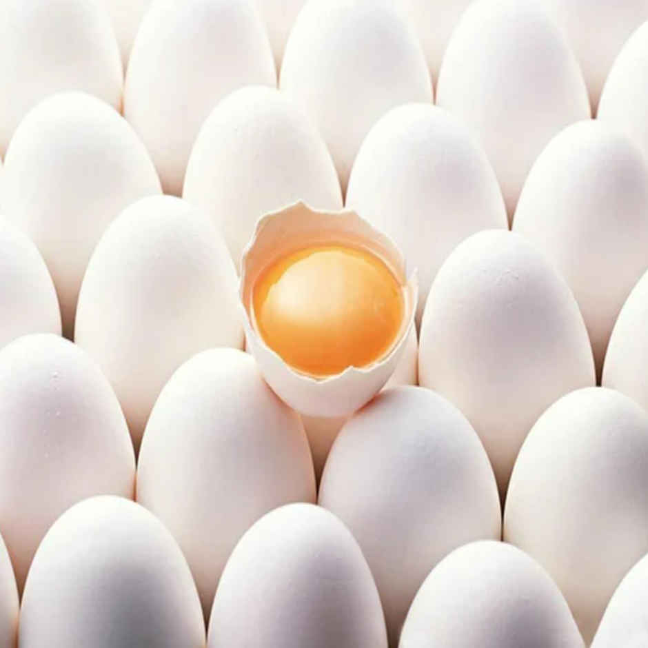 Vijay White Eggs