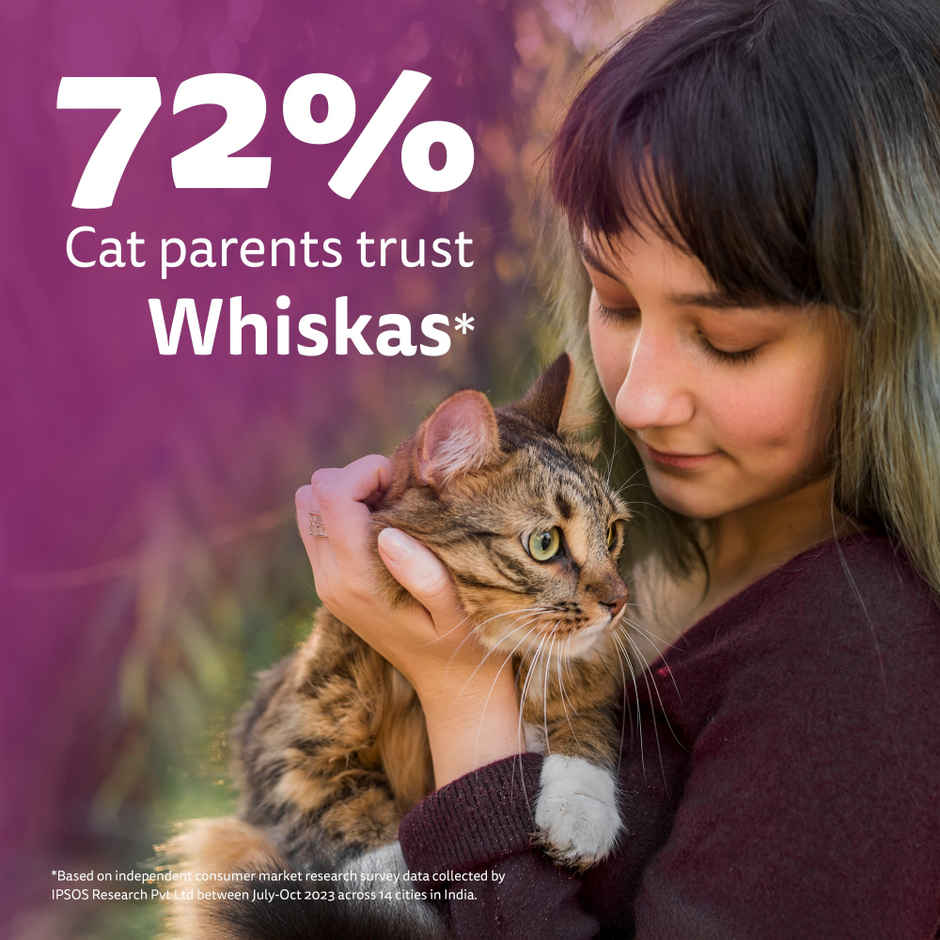 Whiskas Adult Dry Cat Food | 1+ Years | Ocean Fish