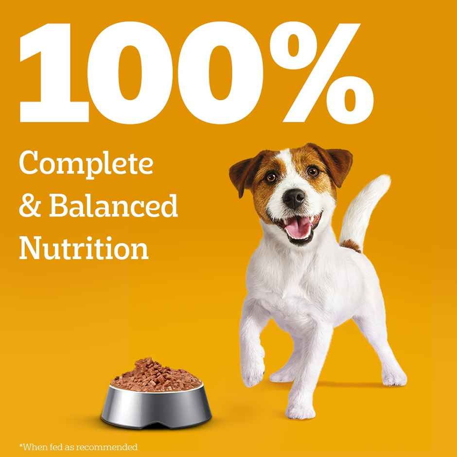 Pedigree Puppy Chicken & Liver Chunks In Gravy Wet Dog Food