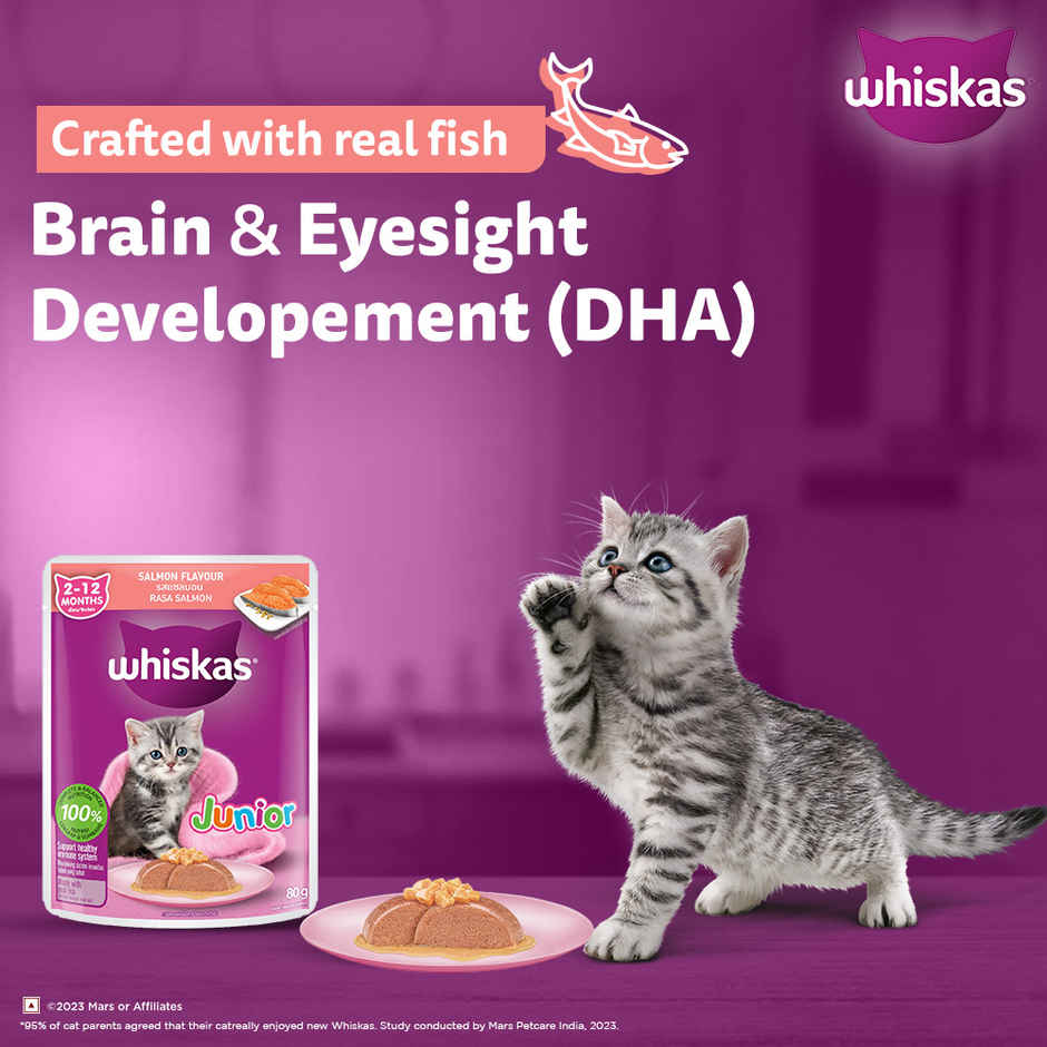 Whiskas Kitten Wet Cat Food Salmon in Jelly