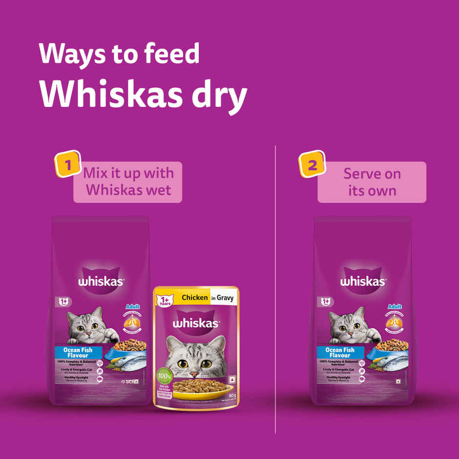 Whiskas Adult Dry Cat Food | 1+ Years | Ocean Fish