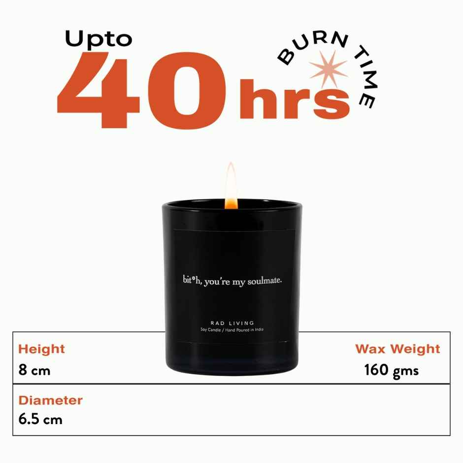 Rad Brands FLY 19 | Boujee Leather Scented Candle