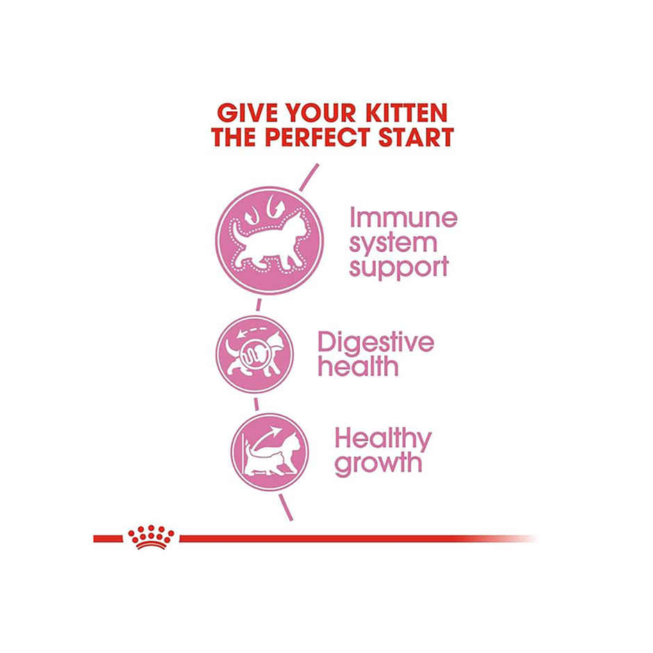 Royal Canin Kitten Cat Dry Food