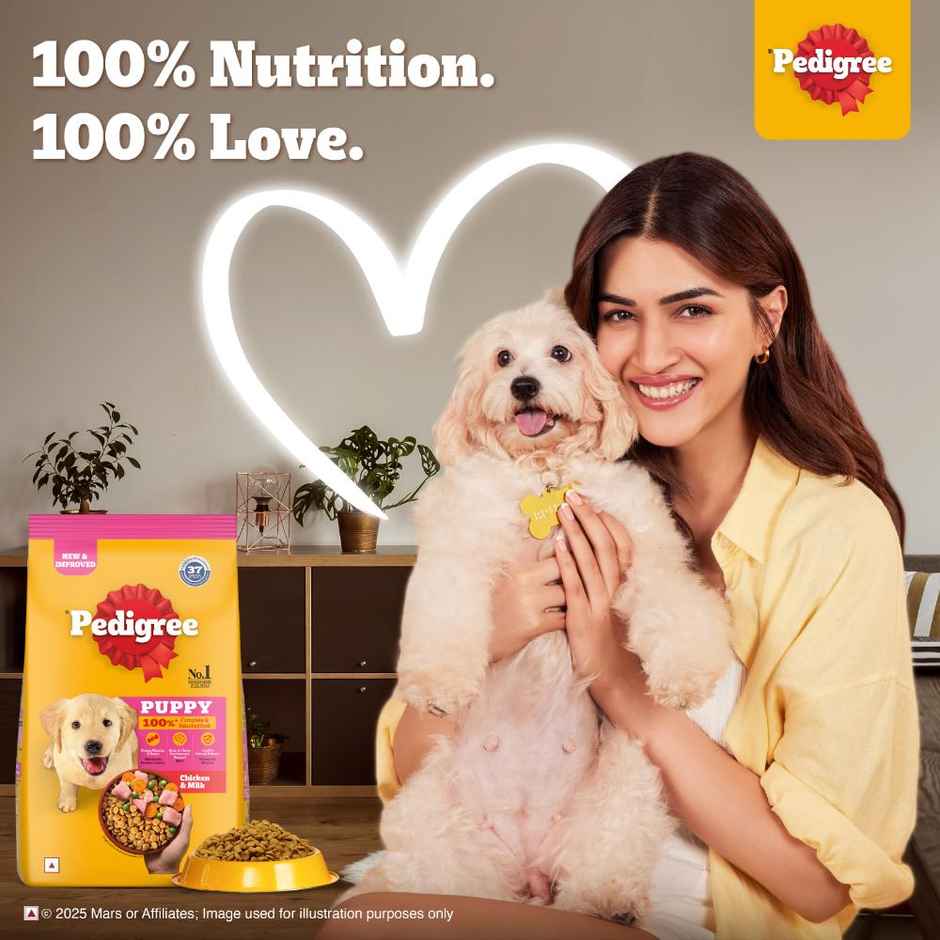 Pedigree Puppy Chicken & Milk Dry Dog Food