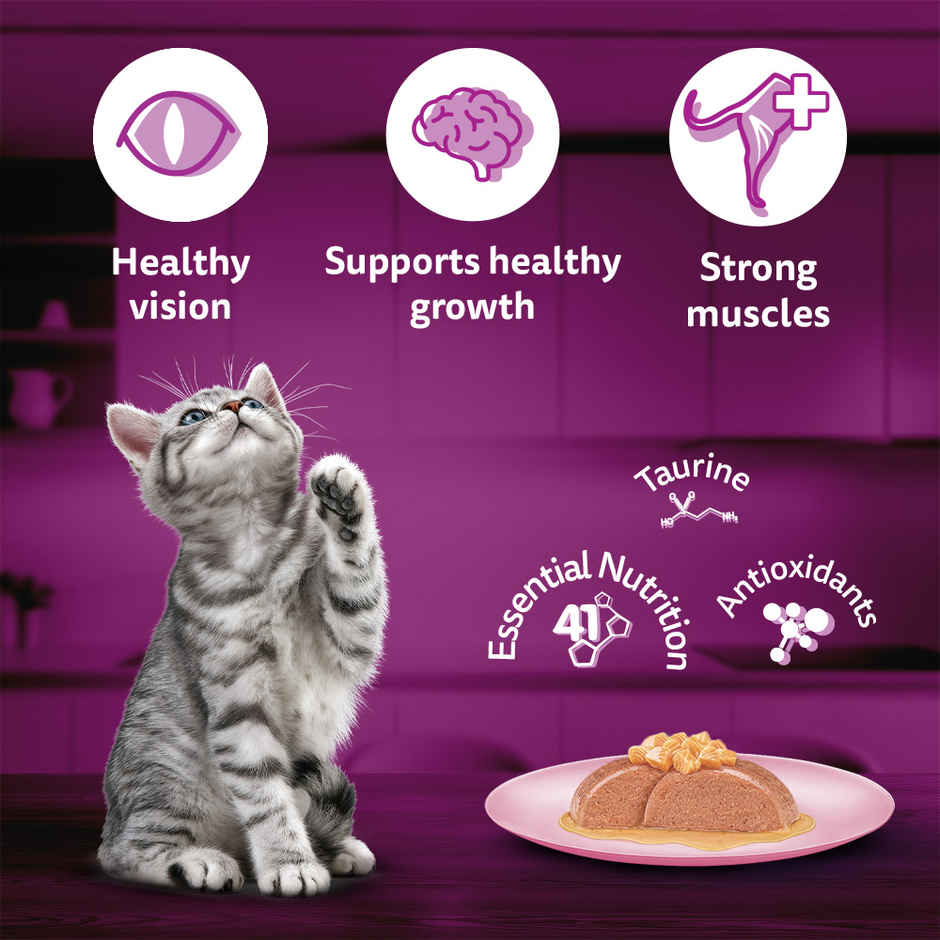 Whiskas Kitten Wet Cat Food Salmon in Jelly