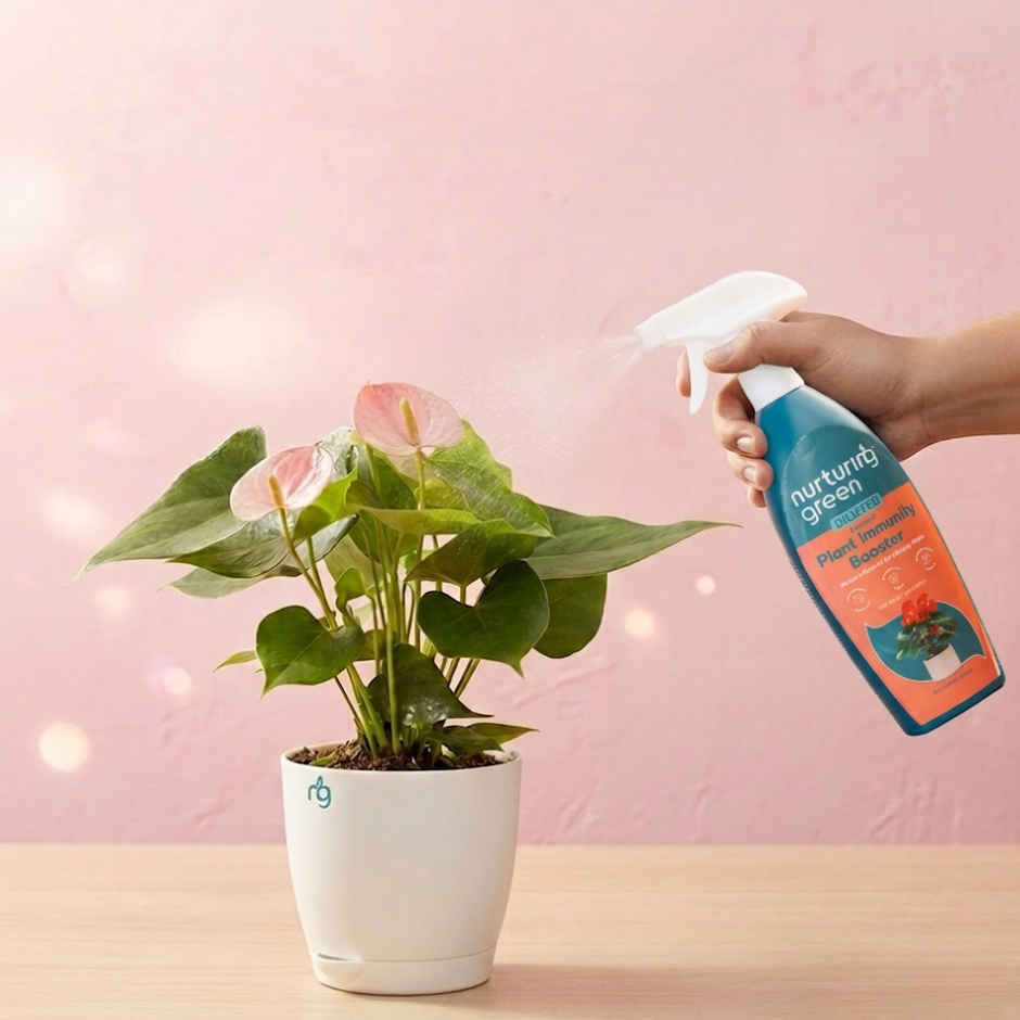 Nurturing Green - Immunity Booster Spray | 650ml | Liquid Fertilizer Plant Booster Spray Bottle