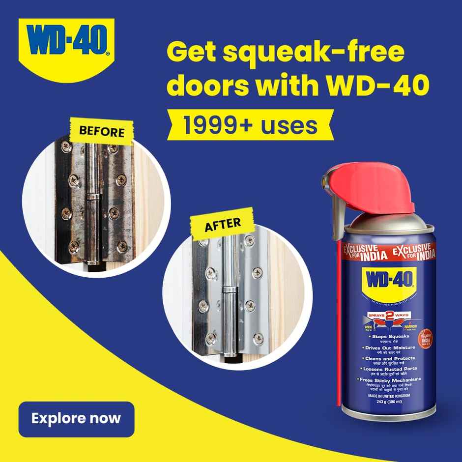 WD-40 Smart Straw 300ml | Multipurpose Spray for Rust Removal, Cleaning & Lubrication