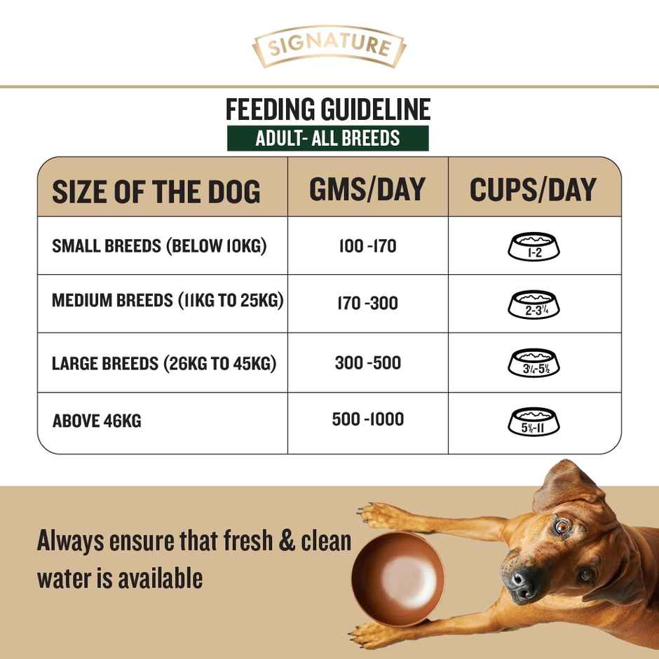 Signature Grain Zero Real Chicken, Egg And Vegetables Adult Dry Dog Food