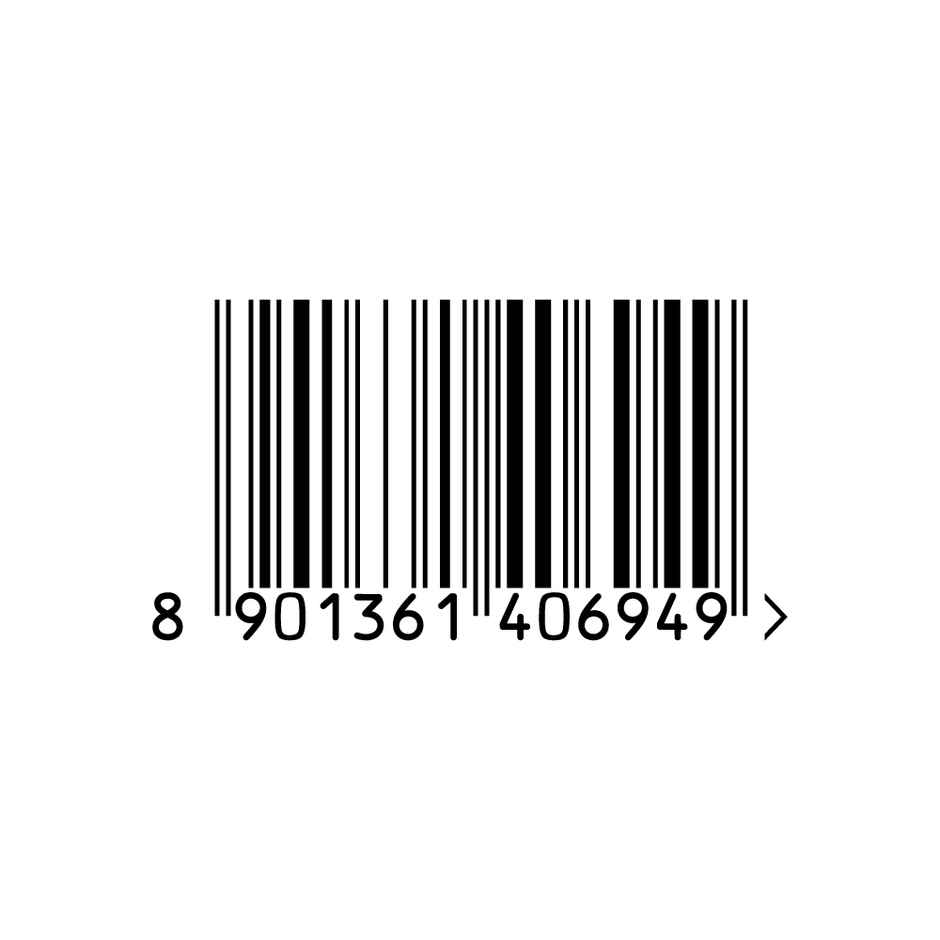 Scotch-Brite Classic No Dust Broom | Regular Size