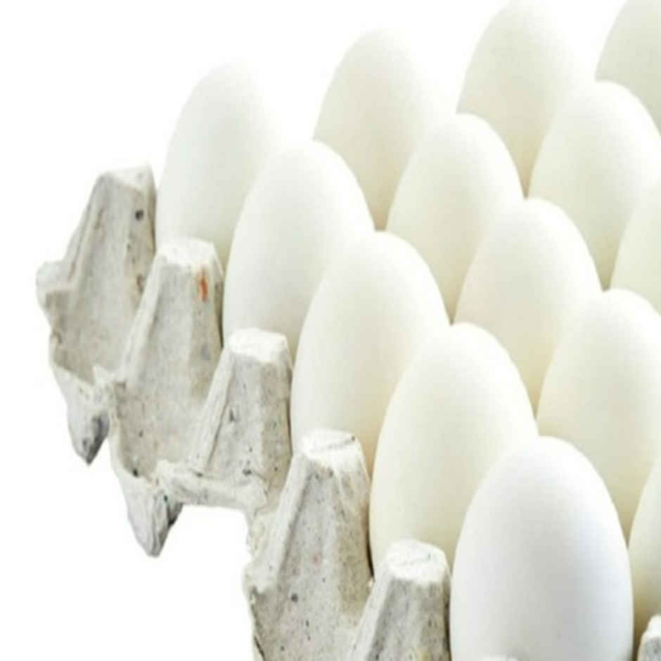 Vijay White Eggs