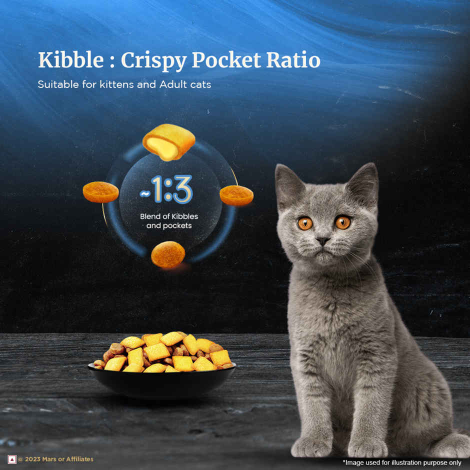 Sheba Kitten and Adult Salmon Flavour Dry Cat Food