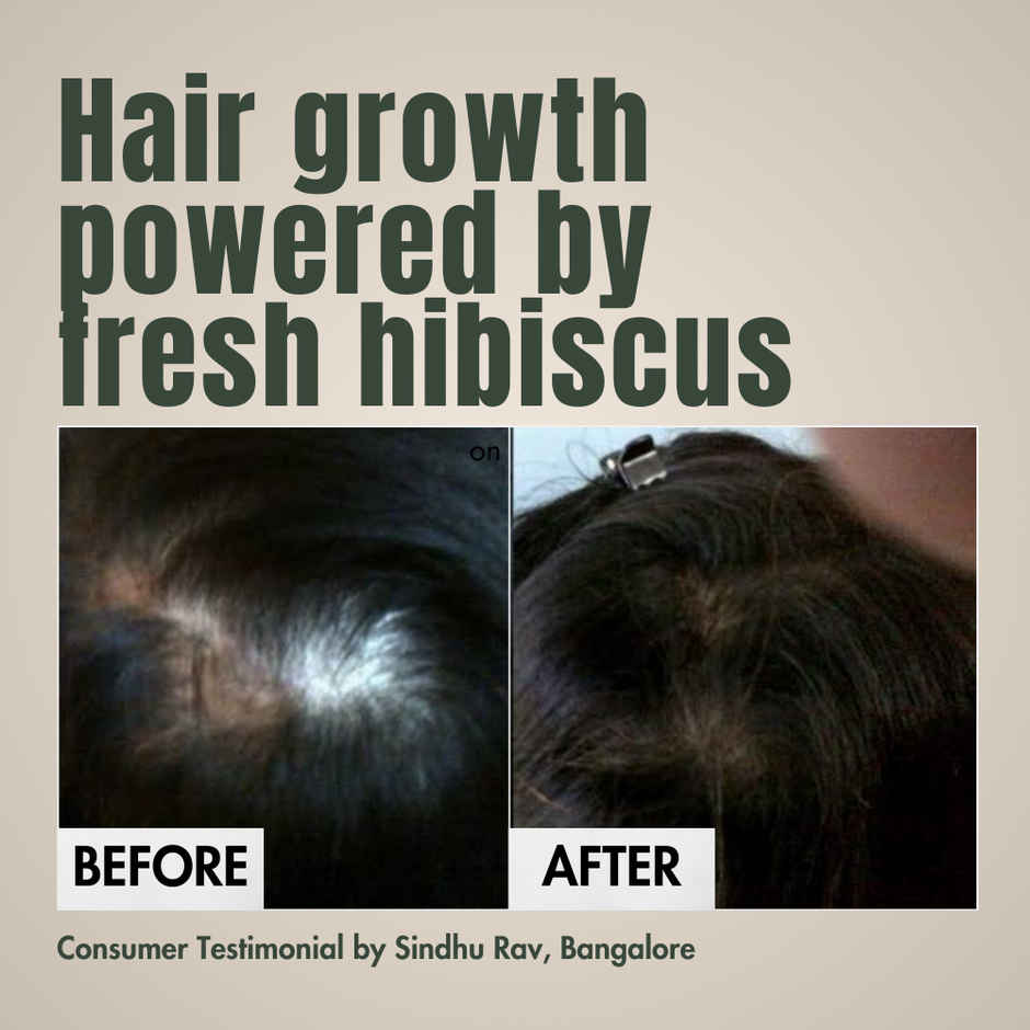 Hibiscus Monkey Hm Love Scalp & Hair Oil