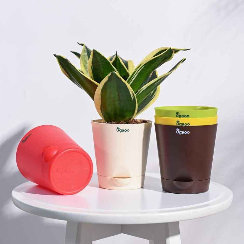 Ugaoo Krish Self Watering Pots For Plants - 4 Inch, Round, Set Of 5 Plant Container Set (Plastic)