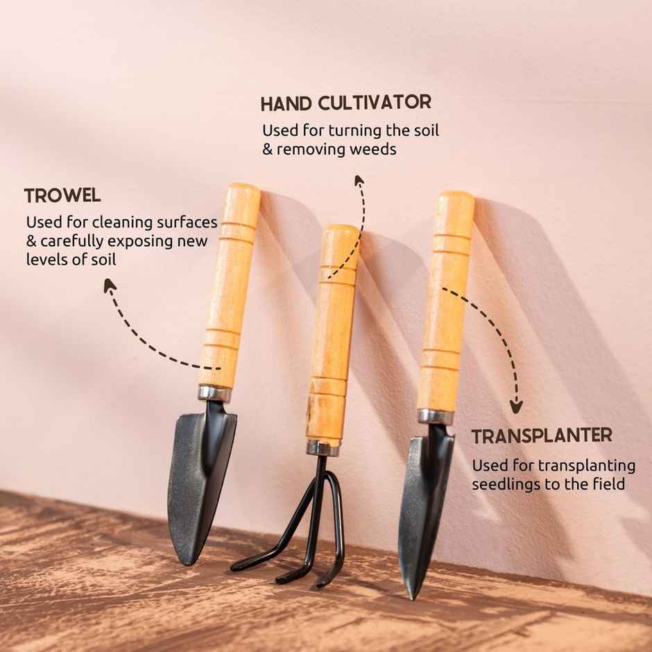 Nurturing Green - Small Garden Tools | Set of 3 | Gardening Tool Set | Gardening Kit