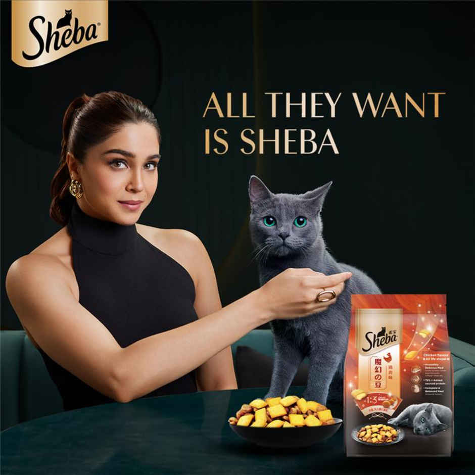 Sheba Kitten and Adult Chicken Flavour Dry Cat Food