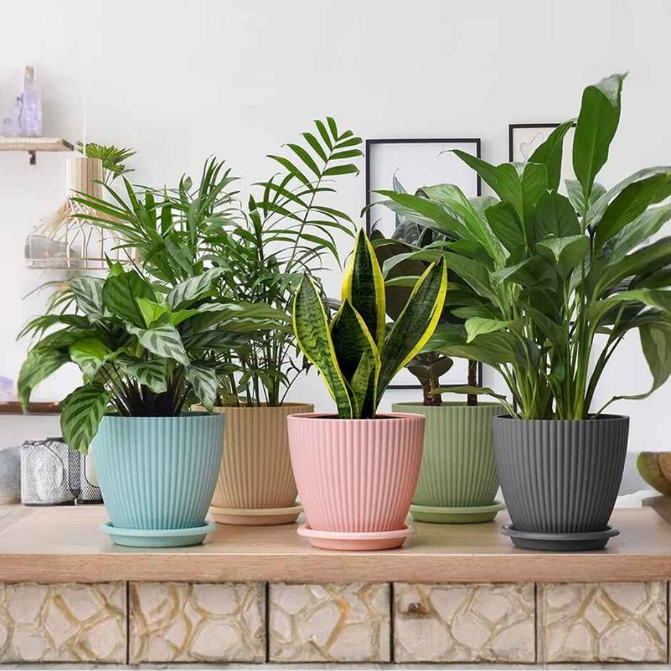 Nayra Plant Pots with Saucer Plastic Pink Color | Set of 5