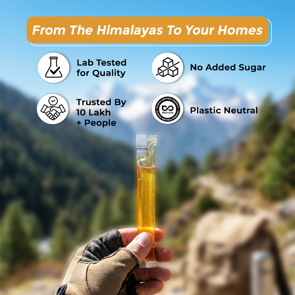 Honey Twigs Ginger Infused Honey | 30 Twigs Pack