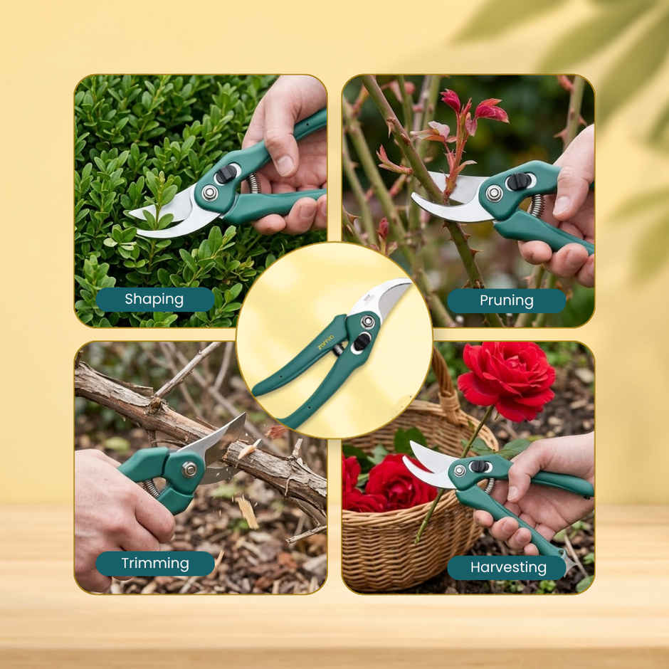 Zamia Garden Pruner | Sharp Bypass Blade | Rust-Resistant Stem Cutter | By Nurturing Green