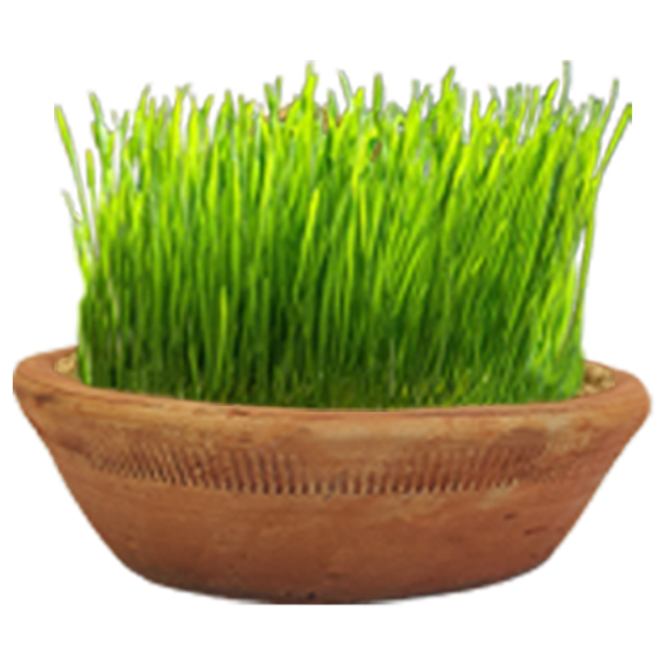 Clay Sakora Terracotta Bowl | Mangal Bhawan