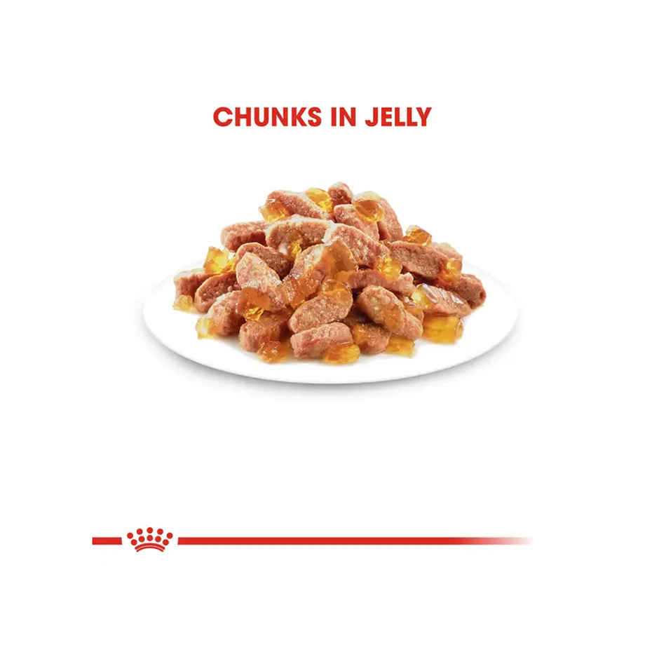 Royal Canin Kitten Cat Wet Food