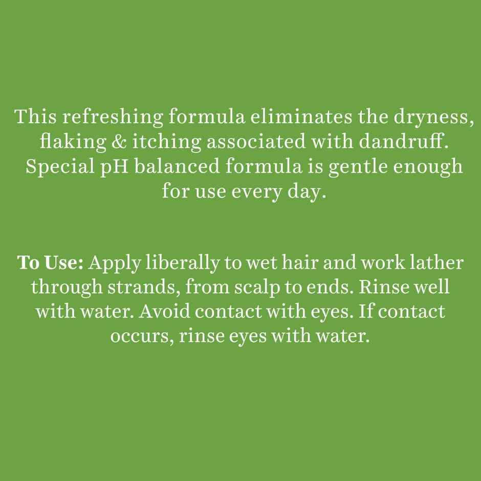 Biotique Fresh Neem Anti Dandruff Shampoo & Conditioner