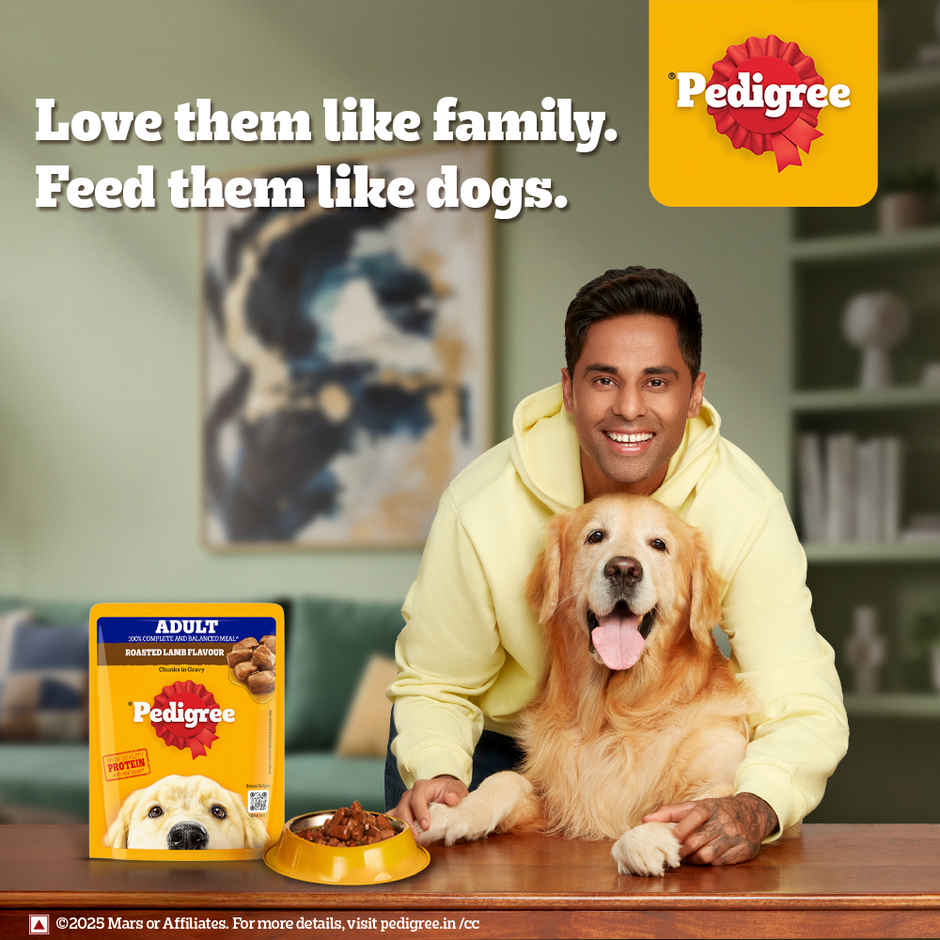 Pedigree Adult Roasted Lamb Flavour Chunks In Gravy Wet Dog Food
