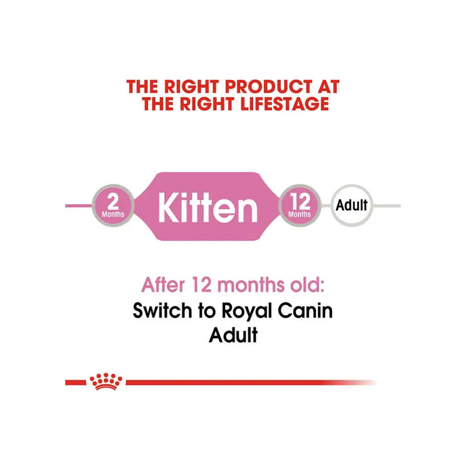 Royal Canin Kitten Cat Wet Food