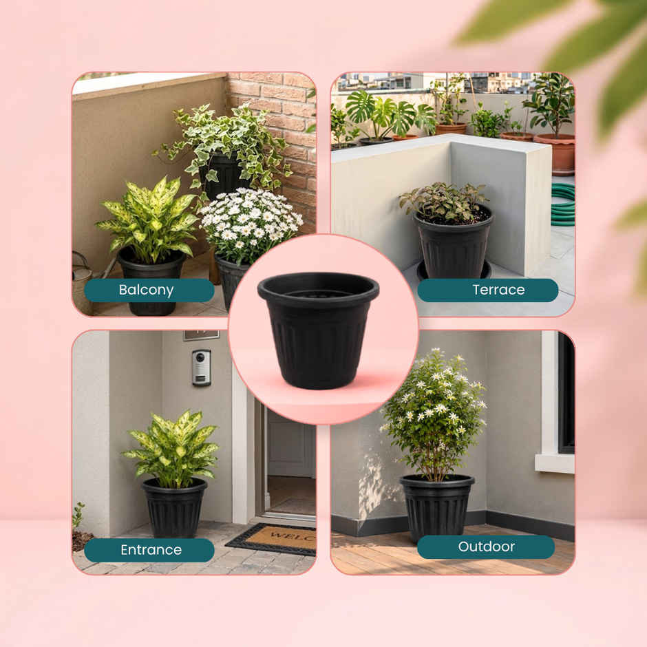 Zamia Plastic Garden Pot | 8 inch | Black | Pack of 1 | By Nurturing Green