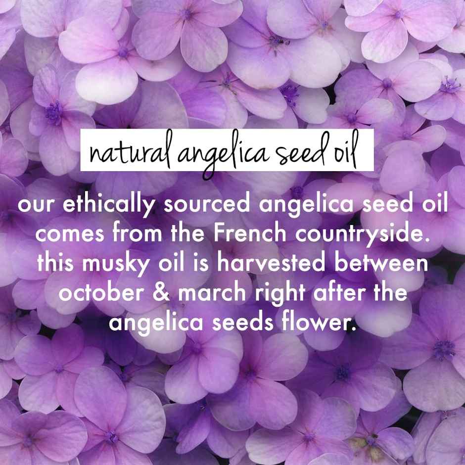 Love Beauty And Planet Rice Water & Angelica Seed Oil Silicone Free Shampoo For Curly & Wavy Hair-