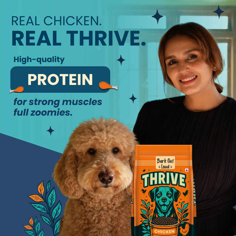 Bark Out Loud Thrive Dog Food Chicken Flavor Adult Dogs 800g All Breeds