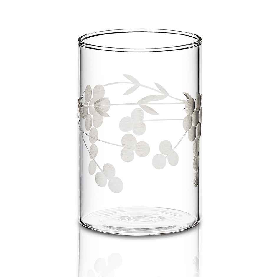 Borosil 6 Pcs Borosilicate Berry Cut Design Transparent Drinking Glass | 295 ml
