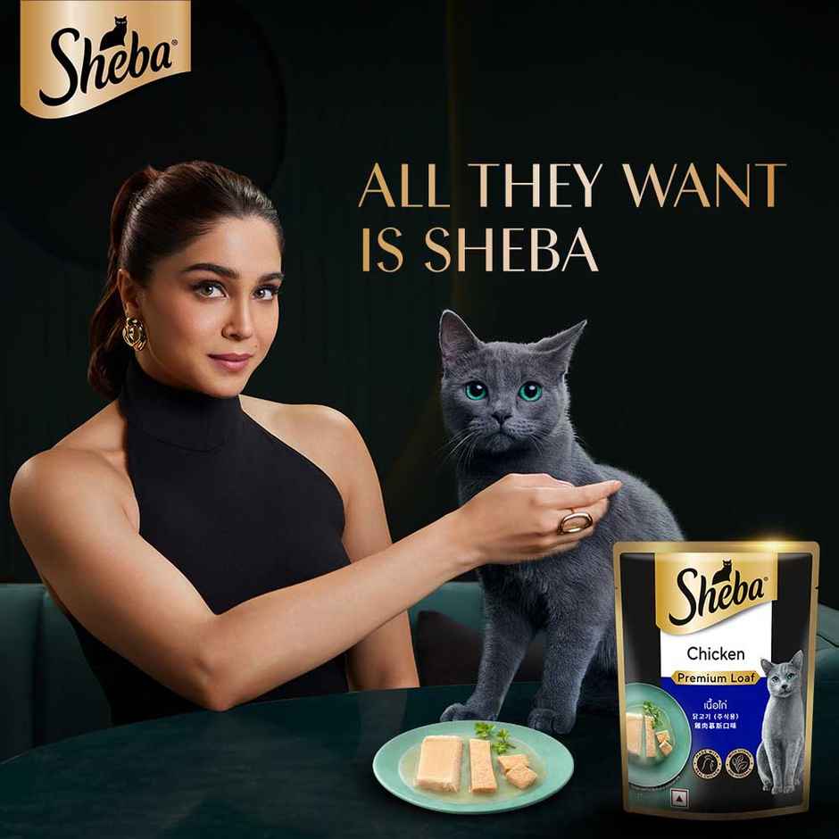 Sheba Fine Adult Chicken Premium Loaf Wet Cat Food