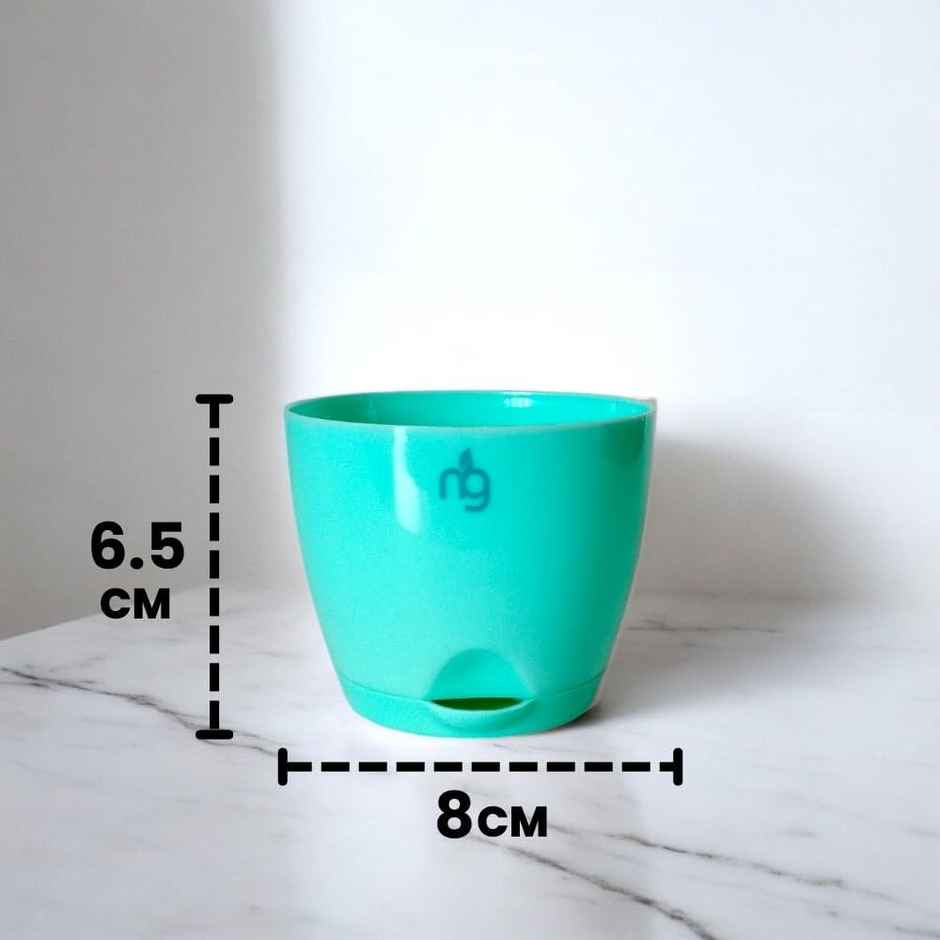 Nurturing Green - Self Watering Pots | Set of 5 | Sea Green | Size: 8cm x 6.5cm