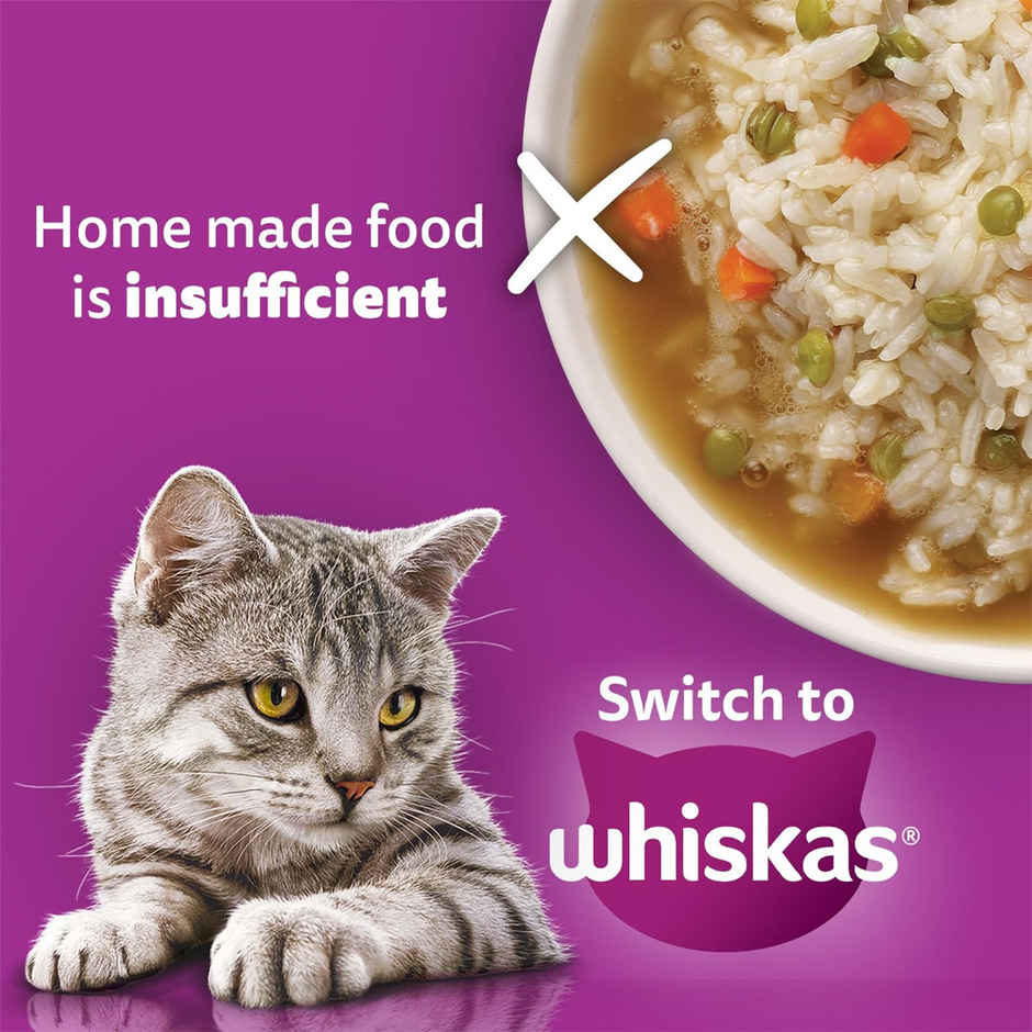 Whiskas Adult Wet Cat Food Chicken and Salmon in Jelly