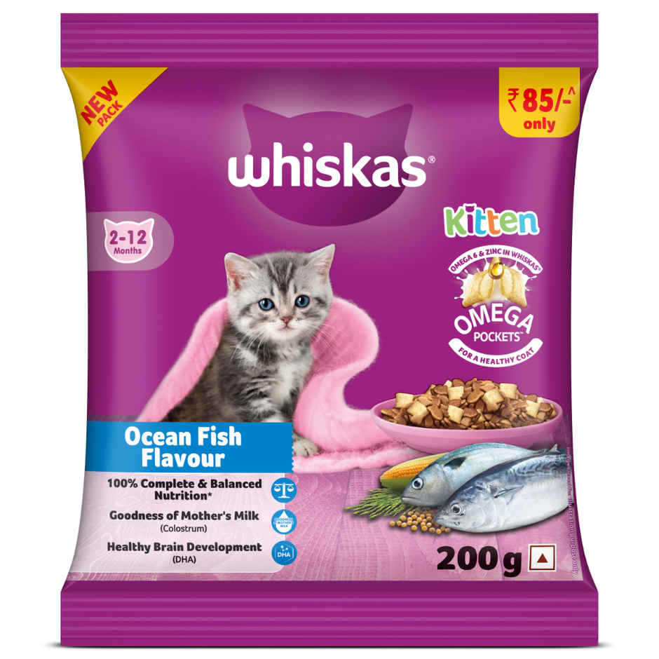 Whiskas Kitten Dry Cat Food | 2 to 12 Months | Ocean Fish