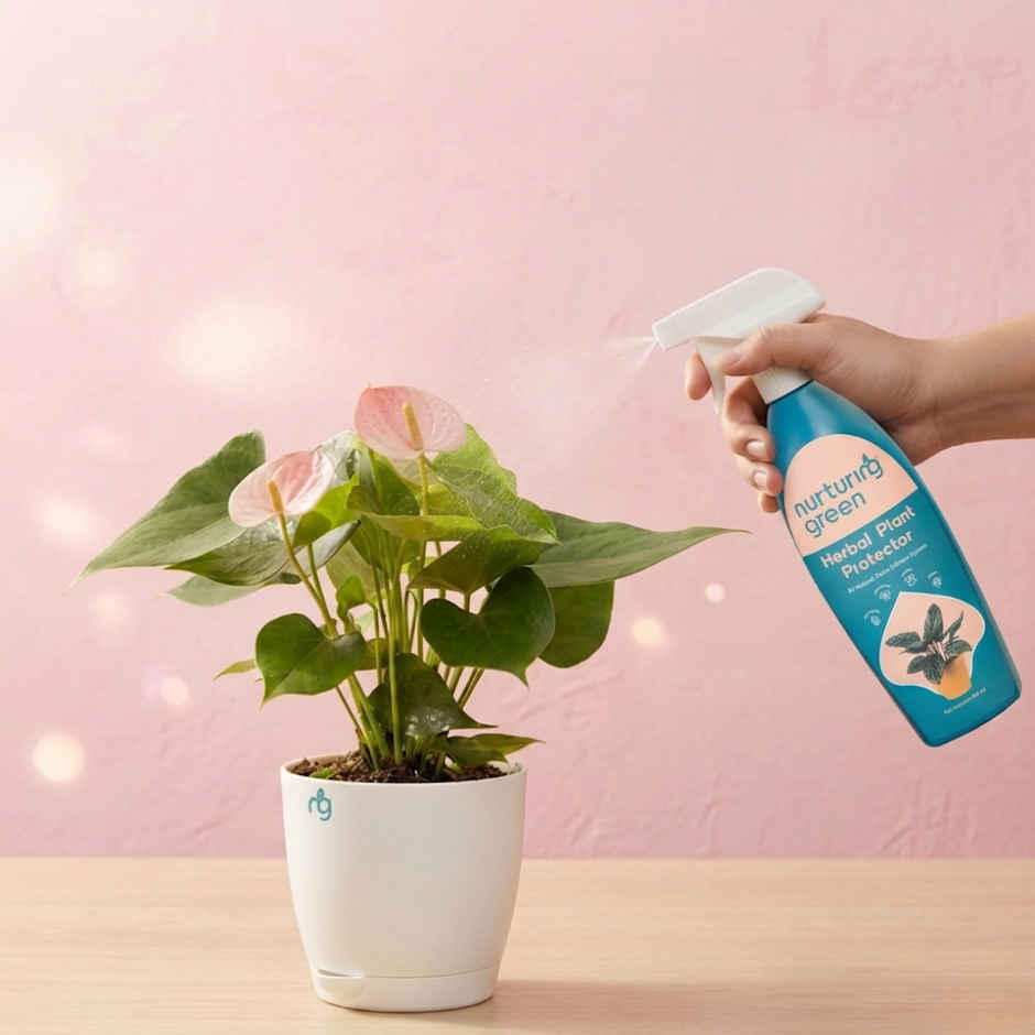 Nurturing Green - Herbal Plant Protector | 650ml | Plant Spray Bottle with Neem Oil for Plant Care