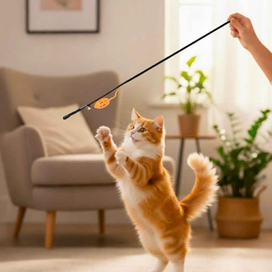 Super Pet Cat Playing Rod Mouse | Orange