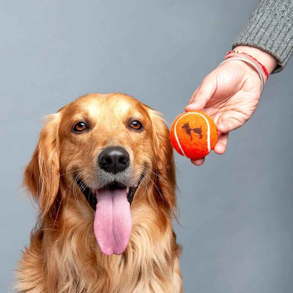 HUFT Tennis Ball For Dog Orange